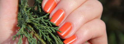 Рыжий рыжий - Maxfactor Sunset orange #80