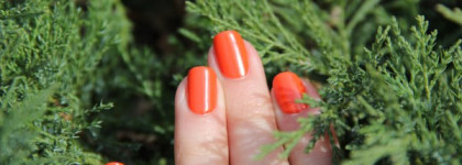 Рыжий рыжий - Maxfactor Sunset orange #80