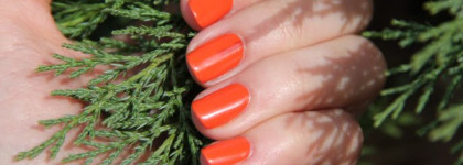 Рыжий рыжий - Maxfactor Sunset orange #80