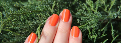 Рыжий рыжий - Maxfactor Sunset orange #80