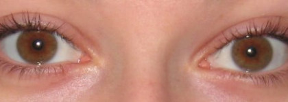 Мой ежедневный помощник - Max Factor 2000 Calorie