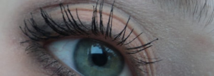 Shiseido-мой "Бархатный вечер"