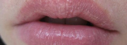 Корейские " Зверюшки " для губ Tony Moly