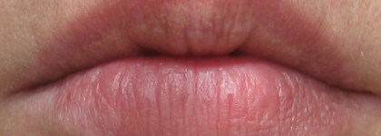 Корейские " Зверюшки " для губ Tony Moly