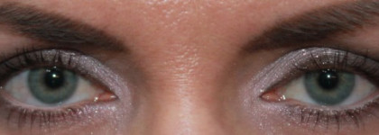 Зимняя спутница. Палетка Dior 5 couleurs lift #042 Grey