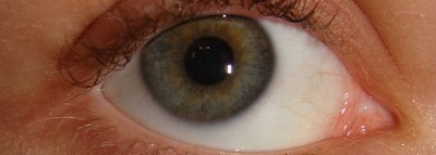 Новая любовь, или Моя ода Noir G de Guerlain (добавила новые свотчи на глазах)