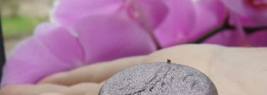 Chanel Illusion D'ombre Long Wear Luminous Eyeshadow (Illusoire, # 83)