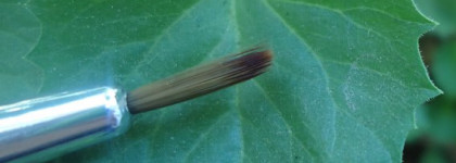 Полночь в Париже с гелевой подводкой от Essence 01