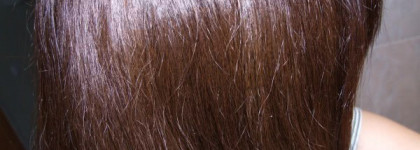 История одного шампуня или ода моему спасителю Fresh Line "Шампунь твердый "Эрато" для сухих, поврежденных волос