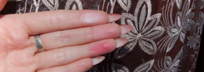 Estee Lauder Signature Silky Powder Blush в оттенке 14 Rose nuance – Румяна моей мечты