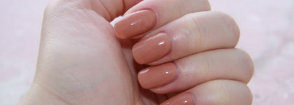 Быть или не быть Shellac'y?