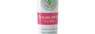 Немного о губках