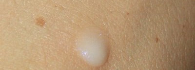 Моё знакомство с маркой La Prairie