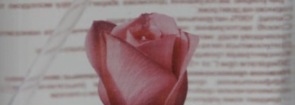 Розовая вода от Крымской розы