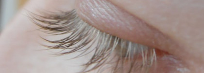 Обзор некоторых тушей - MaxFactor, Clinique, Shiseido