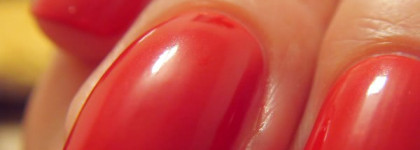 Моя весна с Coromandel