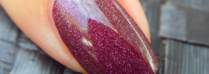 Блестящий дуэт c Dance Legend и Yllozure