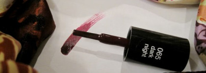 Точный клон - Лак для ногтей ANNY Dark Night 065