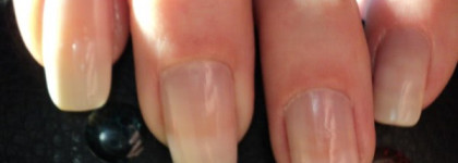 Нежная парочка  Golden Rose и Rimmel