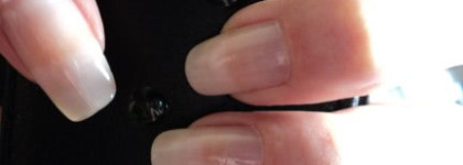 Нежная парочка  Golden Rose и Rimmel