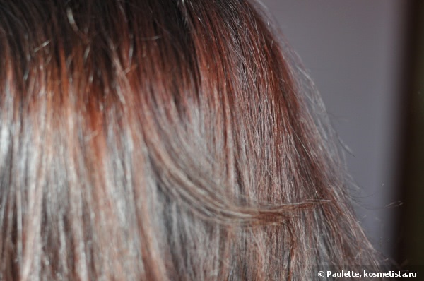 L'Erbolario Hair Color Mahogany-Red - Красящий гель с черникой