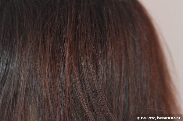 L'Erbolario Hair Color Mahogany-Red - Красящий гель с черникой