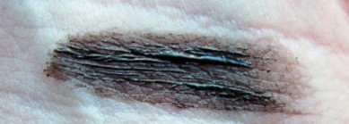 Брови из тюбика? Легко с тушью для бровей Eva Mosaic Ideal Brow "Тёмный шоколад"