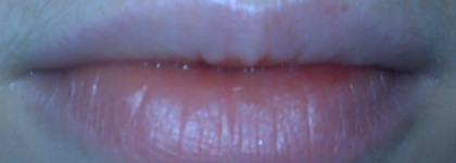 Помады и блески в моей косметичке в зимний период