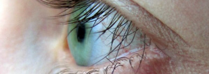 Маэстро, достойны ли Вы этого имени? Тушь Giorgio Armani Maestro Mascara  (1 Black)