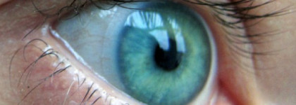 Маэстро, достойны ли Вы этого имени? Тушь Giorgio Armani Maestro Mascara  (1 Black)