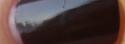 aurelia magnifique 161