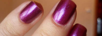 Aurelia magnifique 172