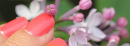 Golden Rose Paris # 94