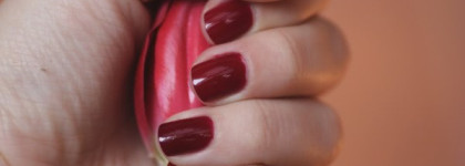 Dance Legend # 312 (цвет сияния)