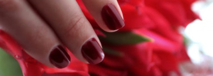 Dance Legend # 312 (цвет сияния)