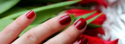 Dance Legend # 312 (цвет сияния)