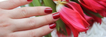 Dance Legend # 312 (цвет сияния)