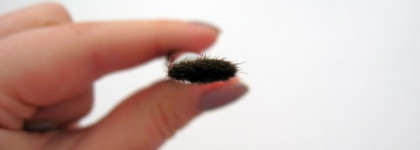 Hakuhodo K004 Eye Shadow Brush