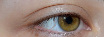 Shiseido Eyelash Curler