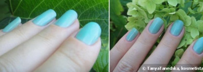 В поисках мятного лака.Golden rose Paris №225