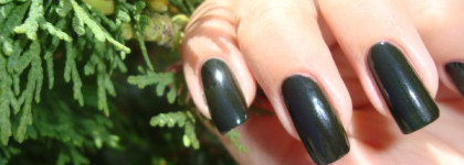 Мои долгожданные и желанные...или пара Опят из испанской коллекции