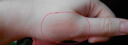 Мои бальзамы для губ