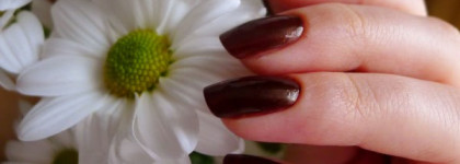 Горький шоколад