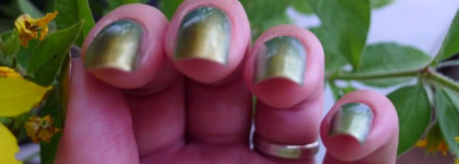 Удачный зелёно-золотой дуохром