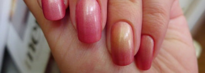 Самый скромный среди термо