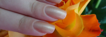 Самый скромный среди термо