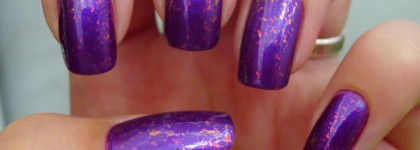 Моя первая слюда