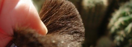 Shiseido Luminizing Satin Face Color – Румяна с шелковистой текстурой и эффектом сияния «Гвоздика» RK304