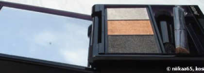 Игра с "Огнём" -  Тени Shiseido Luminizing Satin Eye Color Trio # OR302 Fire