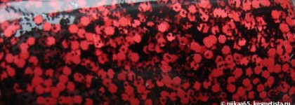 Dance Legend Top-покрытие Flossy #144